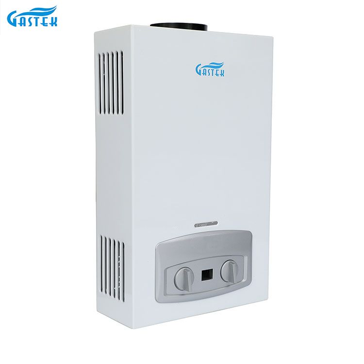 الأجهزة المنزلية نوع المداخن الحائط 10L LPG Tankless سخان الماء الساخن الغاز الفوري للاستحمام