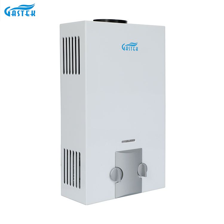 مصنع الأجهزة المنزلية OEM ODM نوع المداخن المثبت على الحائط 6L 10L 12L 16L 20L LPG Tankless سخان غاز فوري للاستحمام